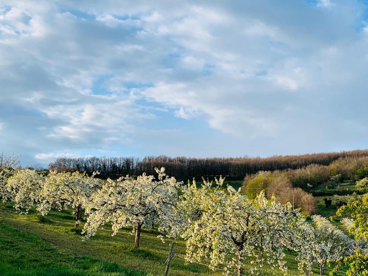 Apartmán Belle Vue Savigny  Exteriér fotografie